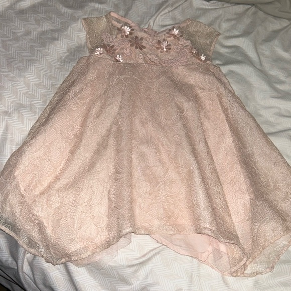 Popatu Other - Pink Popatu Lace Floral Dress - 2T